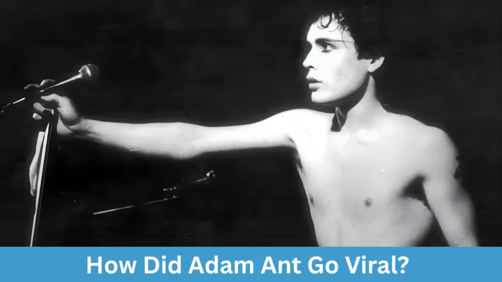 How Did Adam Ant Go Viral?
