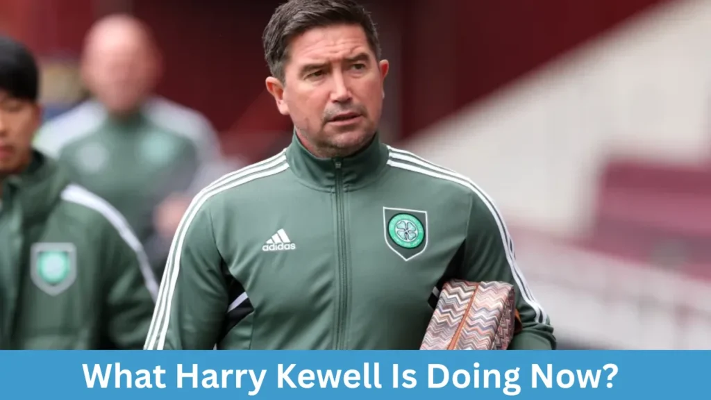 What Harry Kewell Is Doing Now?
