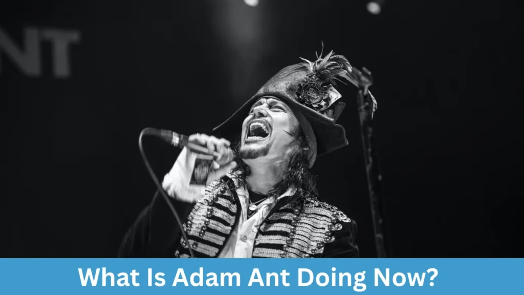 What Is Adam Ant Doing Now?