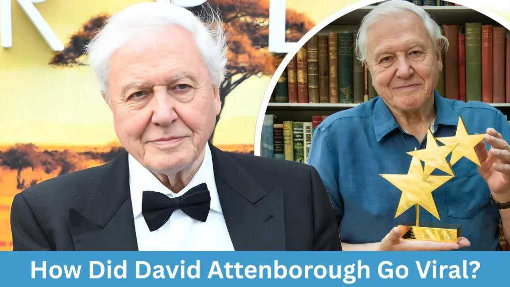 How Did David Attenborough Go Viral?