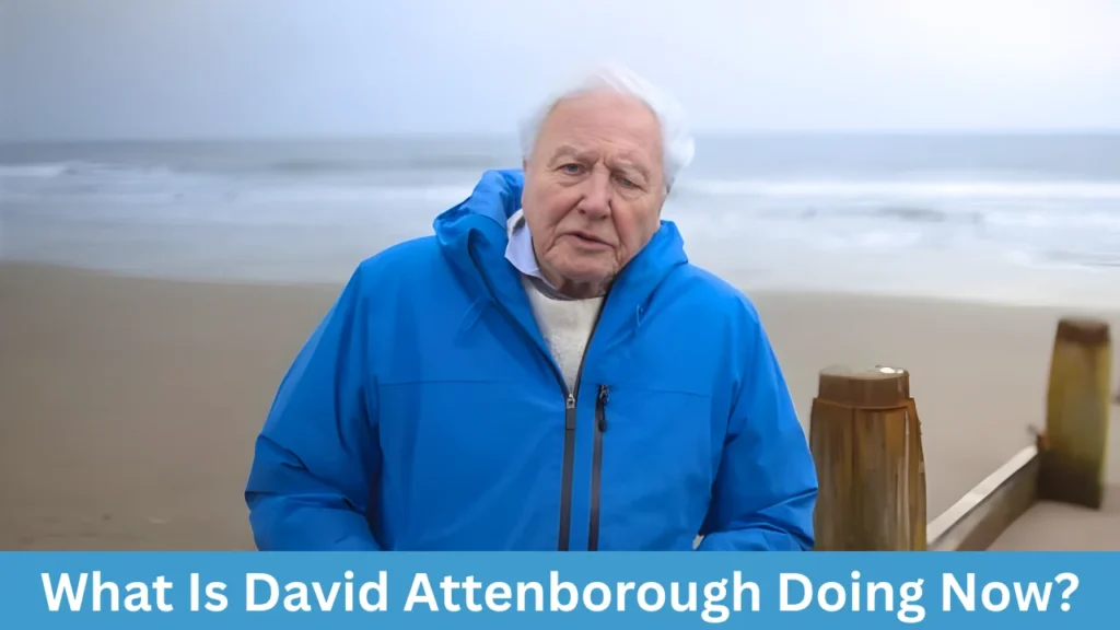 What Is David Attenborough Doing Now?