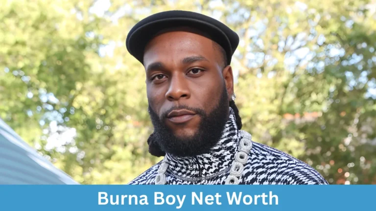 Burna Boy Net Worth