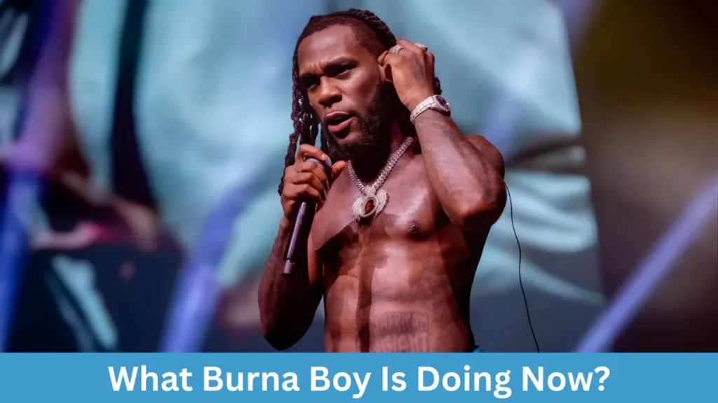 What Burna Boy Is Doing Now?