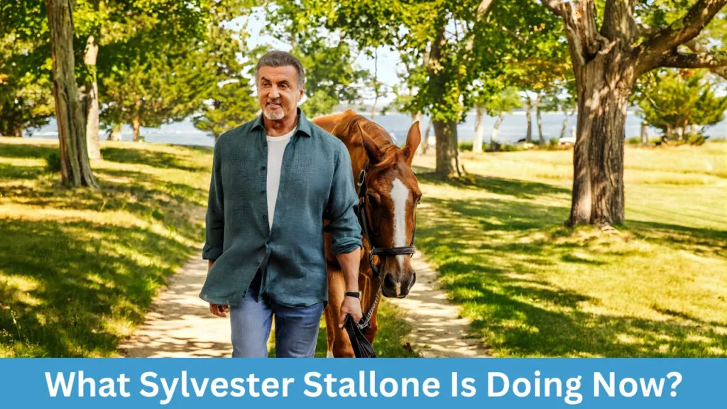What Sylvester Stallone Is Doing Now?