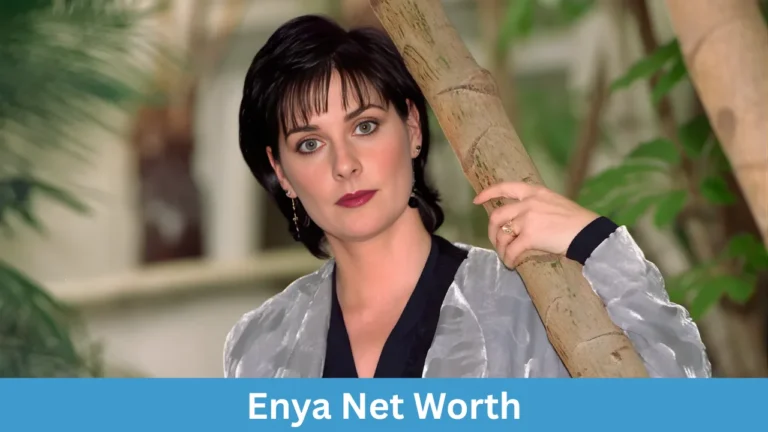 Enya Net Worth